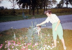 Julia (Judy) Kish Dorrough; Family Parents